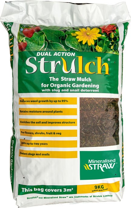 Buy Strulch from an Online Stockist