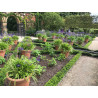 Strulch as a garden mulch for weed suppressant Strulch as a garden mulch for weed suppressant