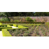 Strulch mulch being used in a formal garden Strulch mulch being used in a formal garden