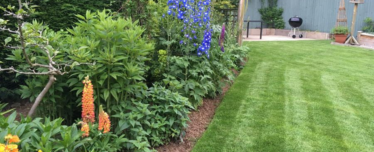 Alice Bowe’s article in The Times recommends Strulch garden mulch to make winter flowers last longer