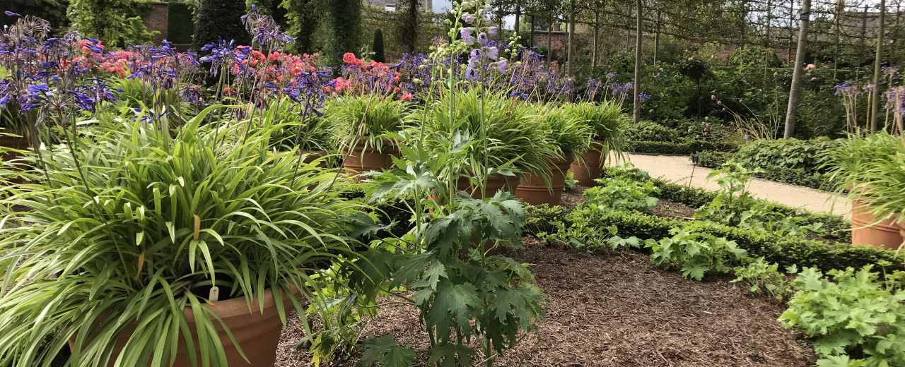 The Alnwick Garden becomes a stockist of Strulch Garden Mulch