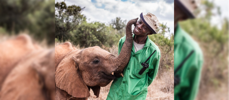 Interview with the team: Julius Shivegha, Elephant Keeper, Nairobi Nursery