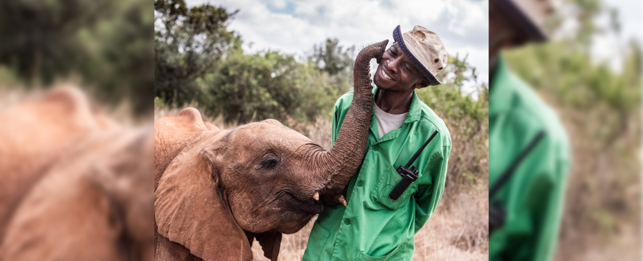 Interview with the team: Julius Shivegha, Elephant Keeper, Nairobi Nursery