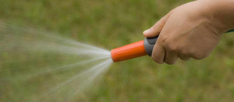 Are you struggling to keep your garden healthy during the current hosepipe ban in Cornwall and Devon?