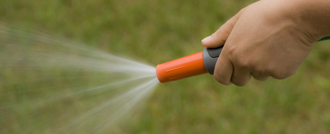 Are you struggling to keep your garden healthy during the current hosepipe ban in Cornwall and Devon?