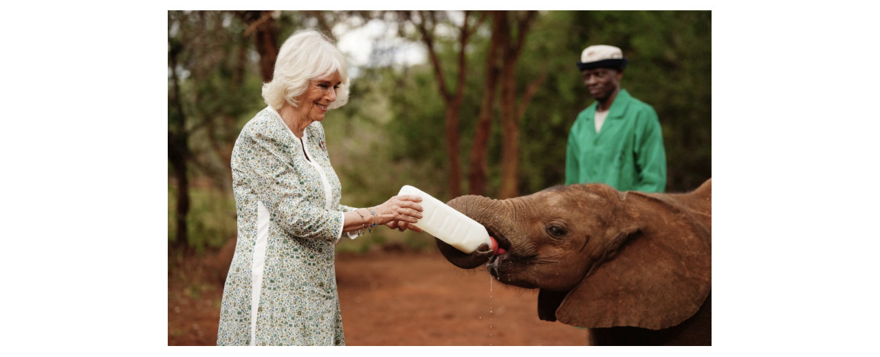 The Queen visits Sheldrick Wildlife Trust near Nairobi National Park