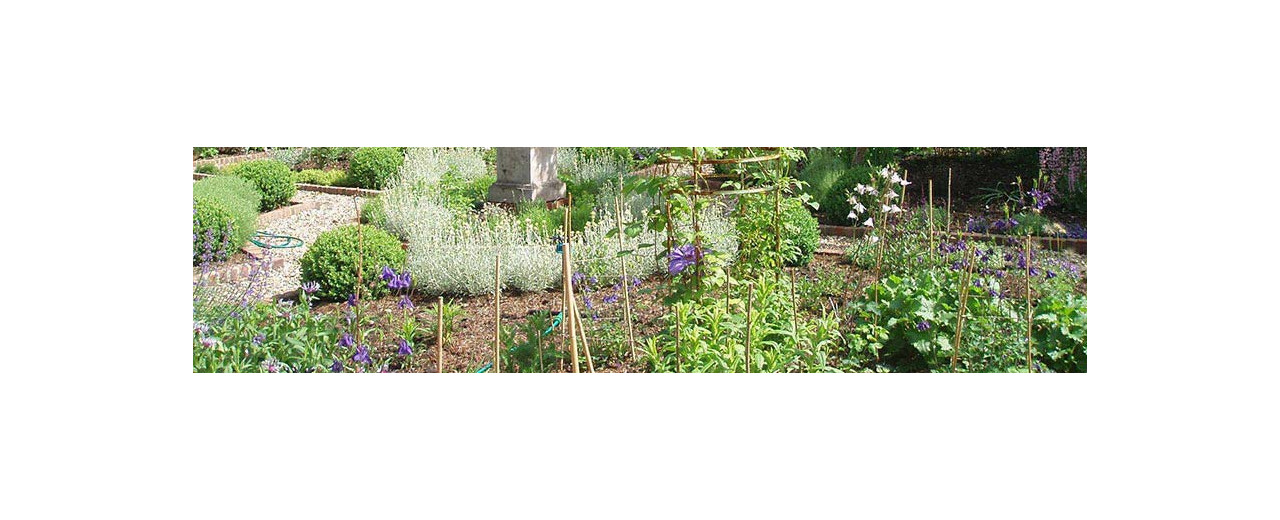  Strulch - Organic mineralised garden mulches