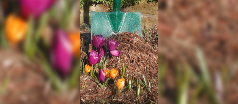 London gardener uses Strulch Garden Mulch in client’s gardens