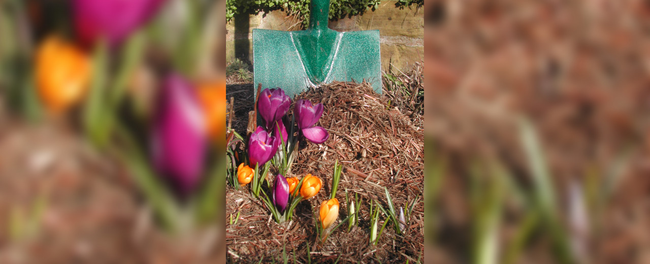 London gardener uses Strulch Garden Mulch in client’s gardens