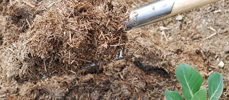 Strulch in Diarmuid Gavin’s 6 Tips for Older Gardeners in The Telegraph Gardening Page today - Tip 5 Mulching has a picture of Strulch