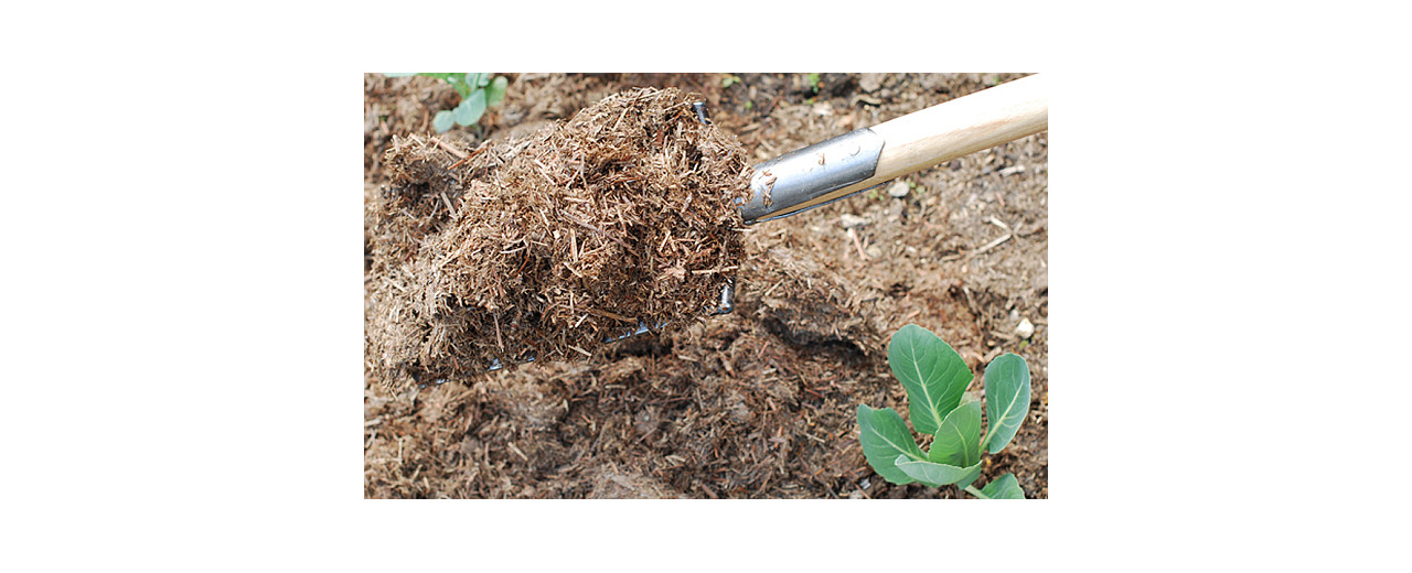 Strulch in Diarmuid Gavin’s 6 Tips for Older Gardeners in The Telegraph Gardening Page today - Tip 5 Mulching has a picture of Strulch