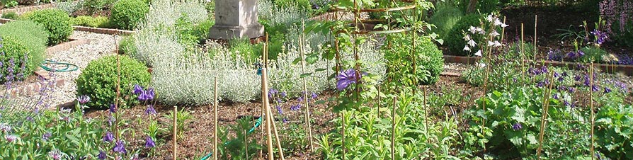 Strulch mulch in a garden