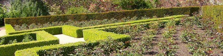 Strulch mulch in a formal garden